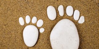 Ile kroków w Dwutakcie? Ile kroków w Dwutakcie?