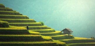 Za co przebrać 8 latka na bal karnawałowy?