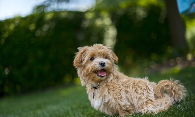 W co ubrać noworodka do snu w upały?