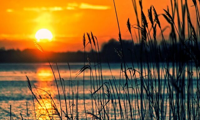 Od jakiego instrumentu zacząć?