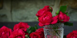 Ile kosztuje pojemnik 120L?