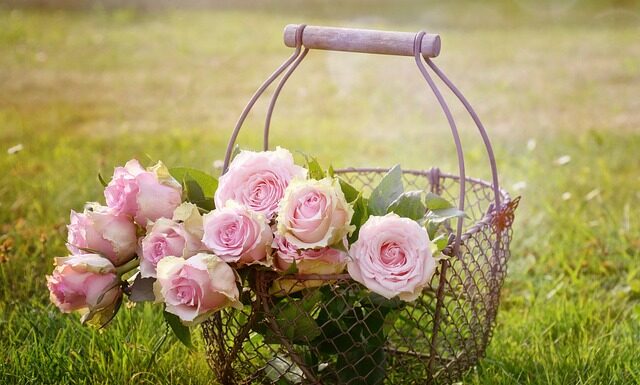 Ile ma wymiarowy kosz?