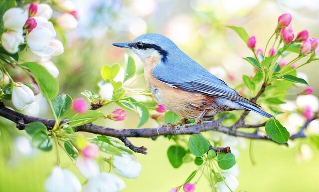 Jak nazywa się mały laptop?