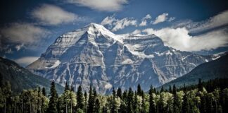 Jak zamontować kij do roweru?