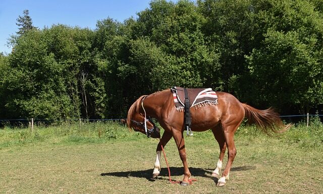 Jak zamontować tablice do koszykówki?