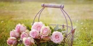 Czy kosz Mojżesza może zastąpić łóżeczko?