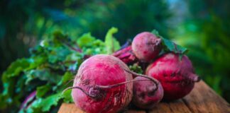 Jak przebrać dziecko za buraka? Jak przebrać dziecko za buraka?