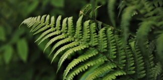 Kiedy zaczęłyście kupować rzeczy dla dziecka?