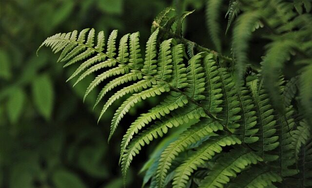 Kiedy zaczęłyście kupować rzeczy dla dziecka?