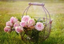 Jak wybrać kosze na śmieci? Jak wybrać kosze na śmieci?