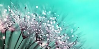 Czy kropelka przyklei magnes? Czy kropelka przyklei magnes?