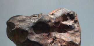 Czy nikiel jest w puszkach?