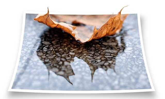 Jak wykonać piaskowanie trawnika?