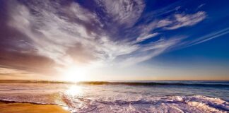 Czy pianka T25 jest dobra? Czy pianka T25 jest dobra?