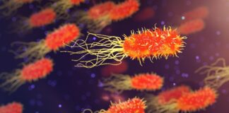 Kiedy organizm domaga się ostrego?