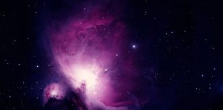 Jakie nici chirurgiczne do nauki?