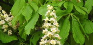 Co trzeba zdać na maturze żeby dostać się na archeologię? Co trzeba zdać na maturze żeby dostać się na archeologię?