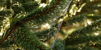 W jaki sposób dziecko sygnalizuje potrzeby fizjologiczne?