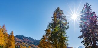 Jak zrobić masę która zasycha? Jak zrobić masę która zasycha?