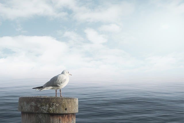 Jak się uspokoić w minutę? Jak się uspokoić w minutę?