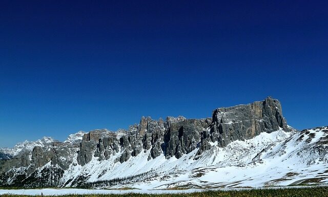 Czy można sypać nawóz na świeżo Posianą trawę? Czy można sypać nawóz na świeżo Posianą trawę?