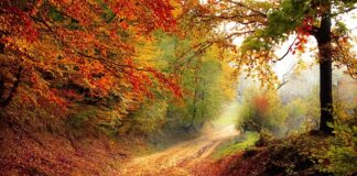 Do którego roku życia dziecko śpi w łóżeczku? Do którego roku życia dziecko śpi w łóżeczku?