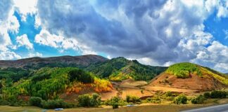 Jak zamontować nakładki na schody? Jak zamontować nakładki na schody?