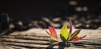 Co zamiast podkładów poporodowych? Co zamiast podkładów poporodowych?