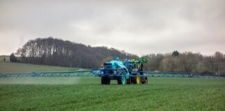 Czym najlepiej nawozić trawnik?