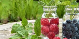 Co lepsze saletrą czy saletrzak?