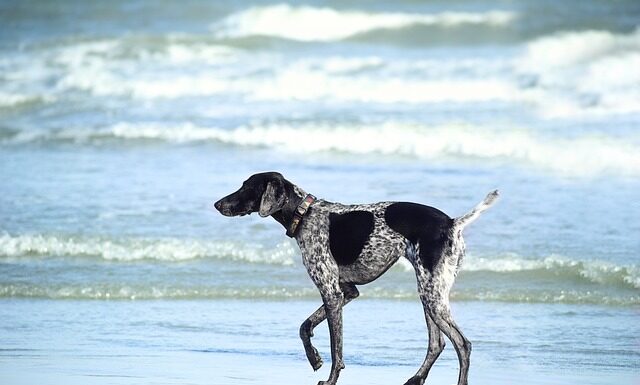 Co jeśli nie biorę witamin w ciąży?