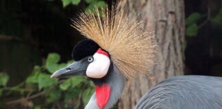 Co oznacza brak ochoty na słodycze?