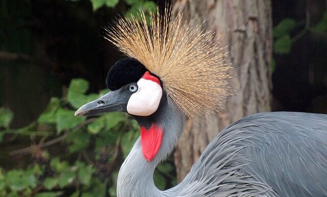 Co oznacza brak ochoty na słodycze?