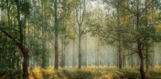 Co trzeba wziąć na park trampolin?