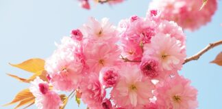 Ile paczek podpasek po porodzie?